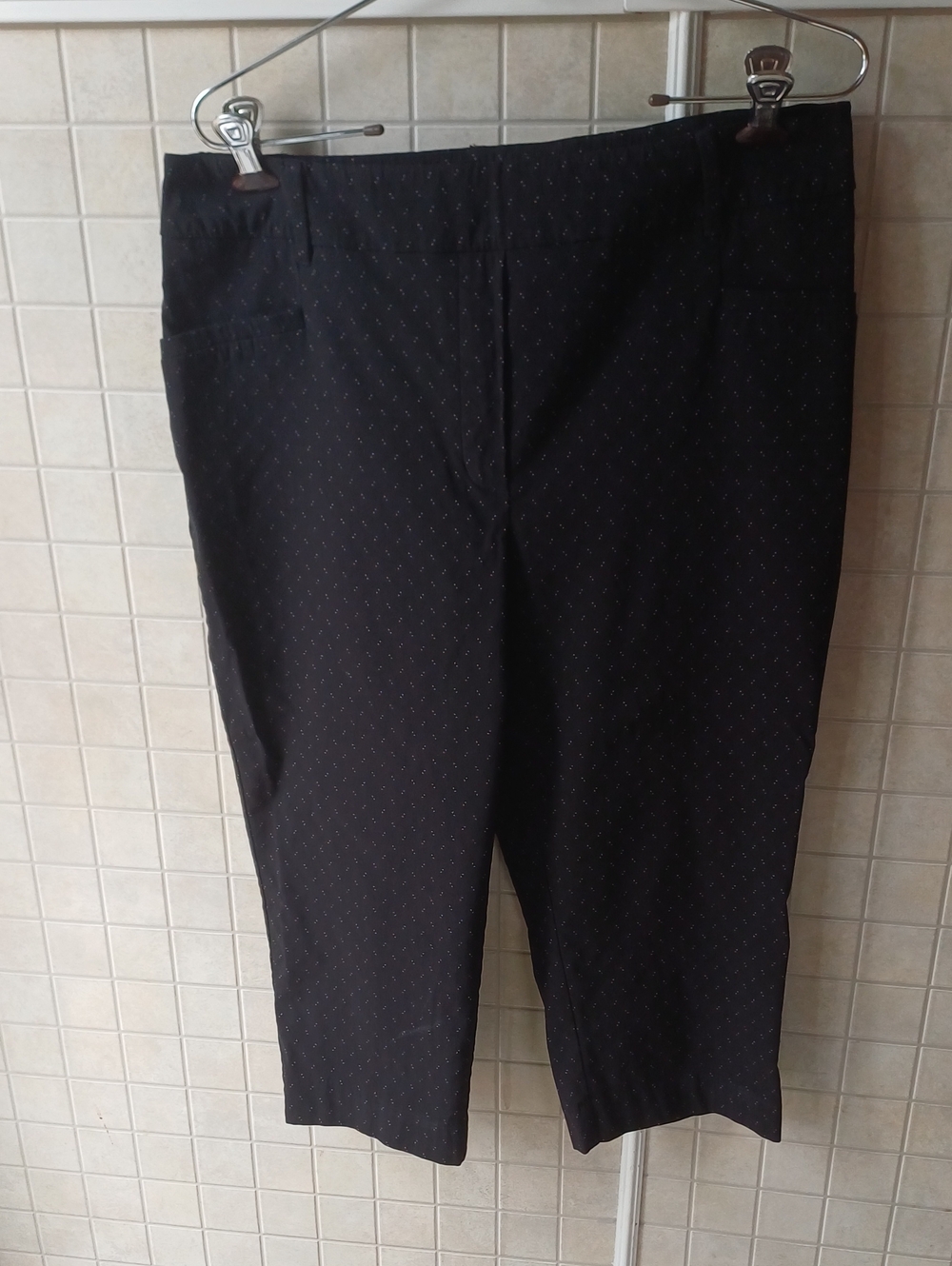 Reitmans Streatchy Capris